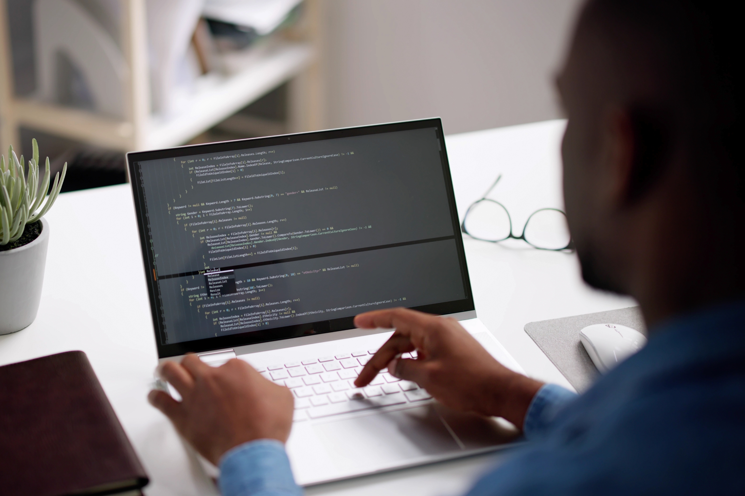 Career Description For WordPress Web Developers