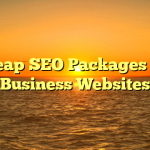 Cheap SEO Packages For Business Websites