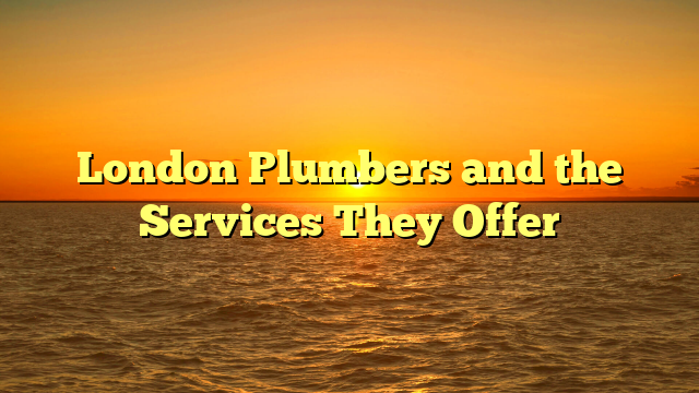 London Plumbers and the Services They Offer