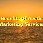 The Benefits Of Aesthetics Marketing Services