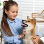 How to Understand Your Dog’s Body Language and Behavior