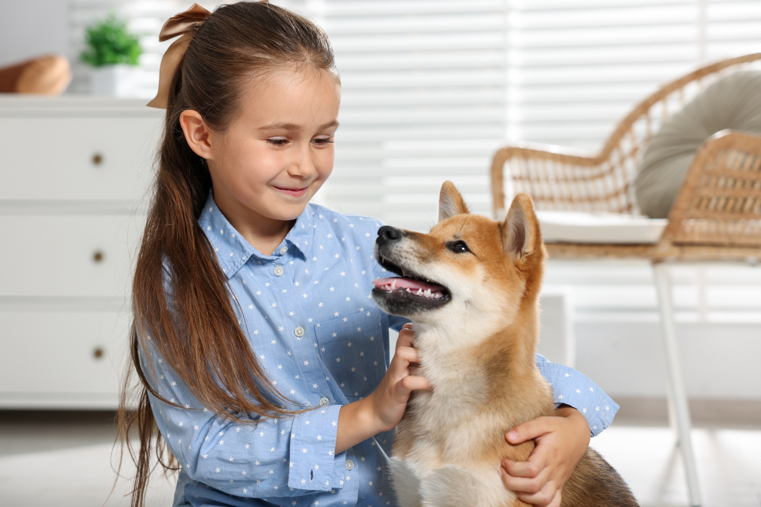 How to Understand Your Dog’s Body Language and Behavior